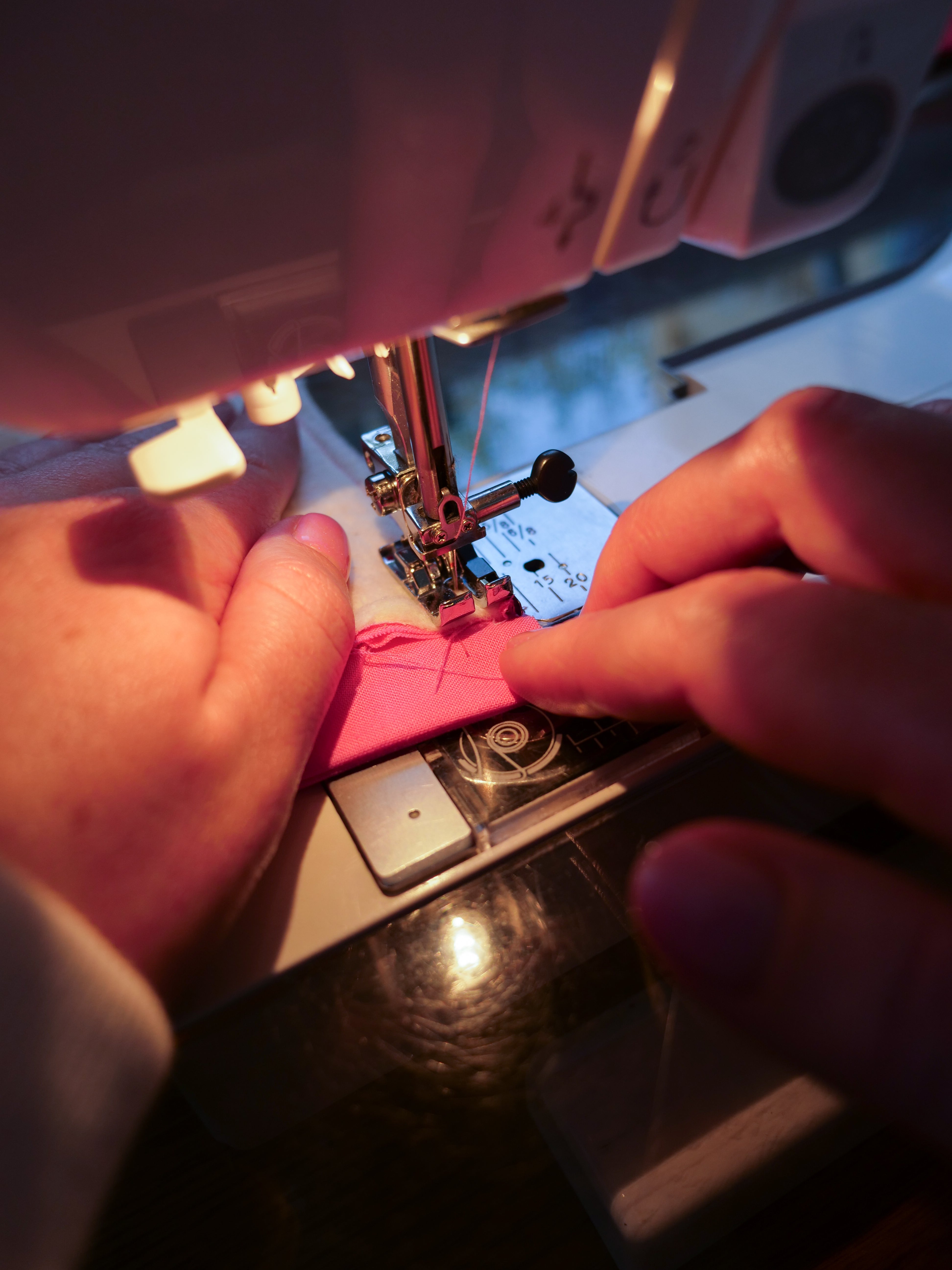 Bookish Bear Coffee Coozie